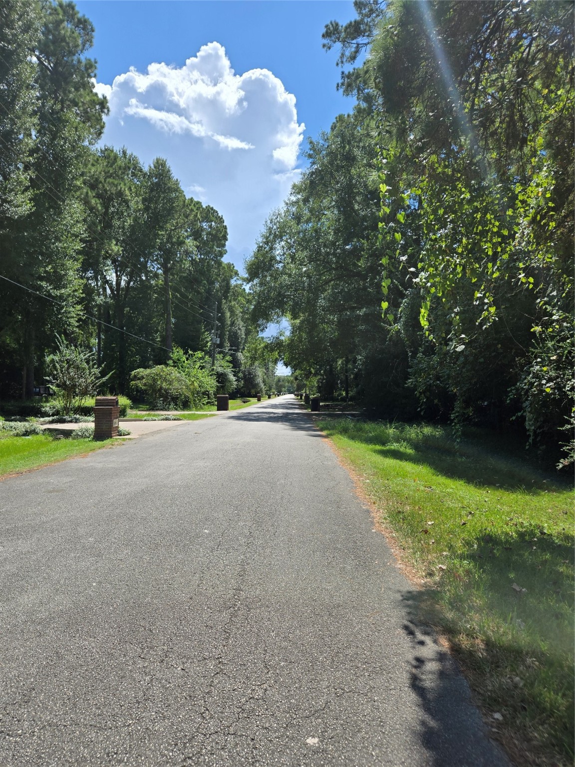 0 Bourgeois Forest Drive Houston, TX 77066 - Photo 5 of 6 a view of road with grass and trees