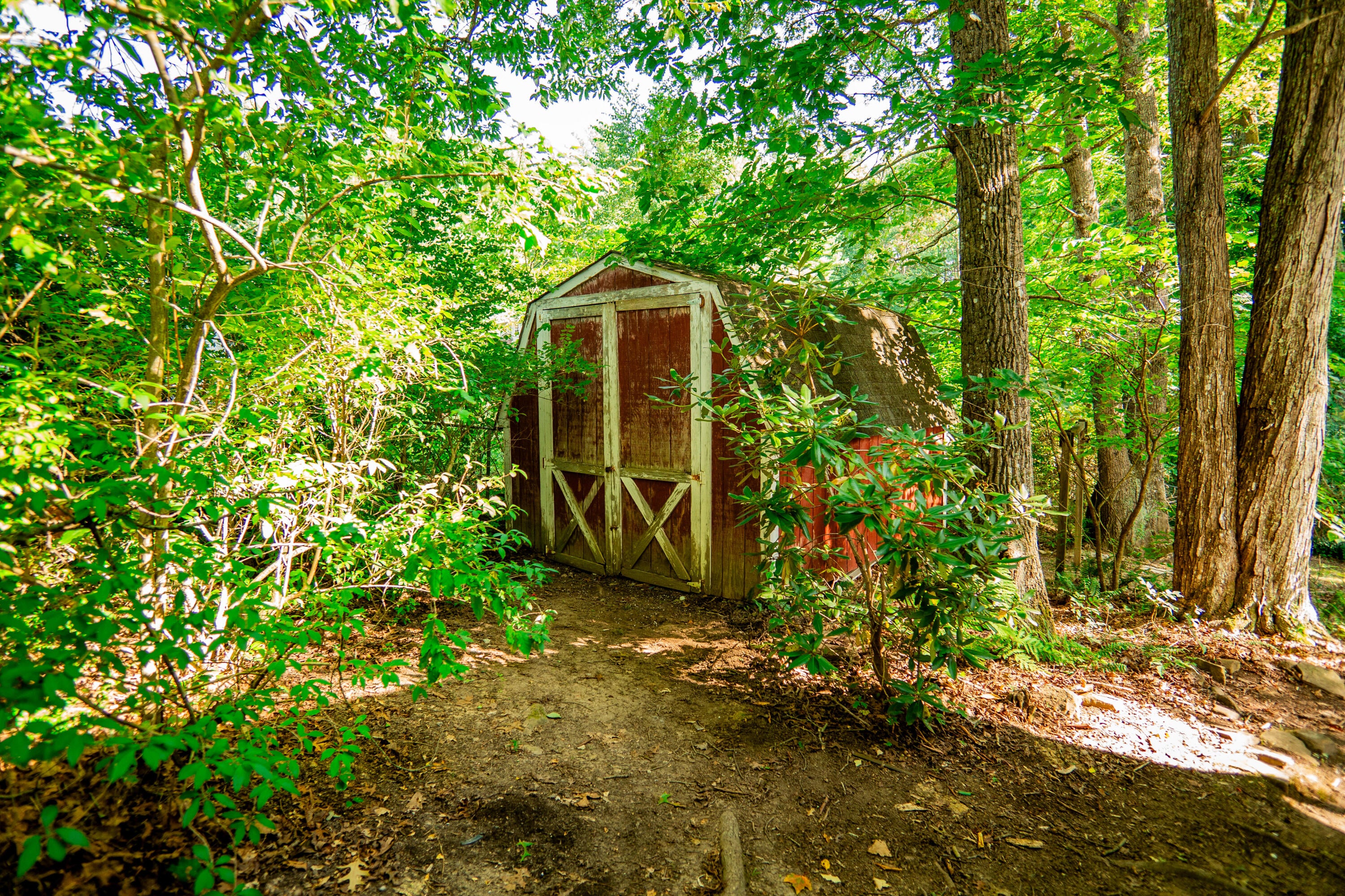 294 Big Mountain Road Rupert, WV 25984 - Photo 19 of 21 Gallery Image 19