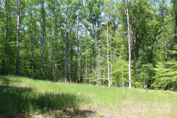a view of a garden