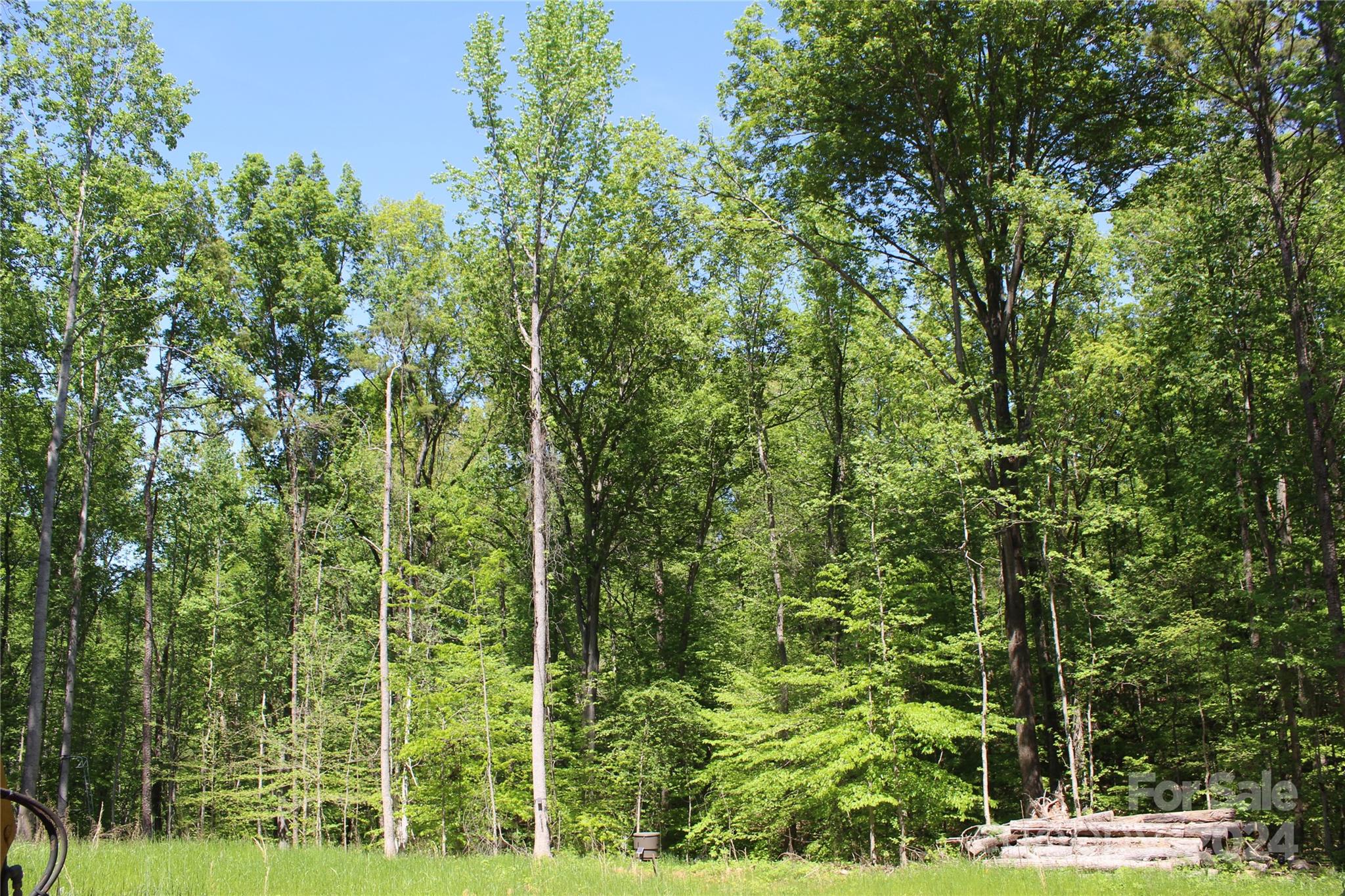 0 Davis Circle Clover, SC 29710 - Photo 2 of 13 a view of a yard