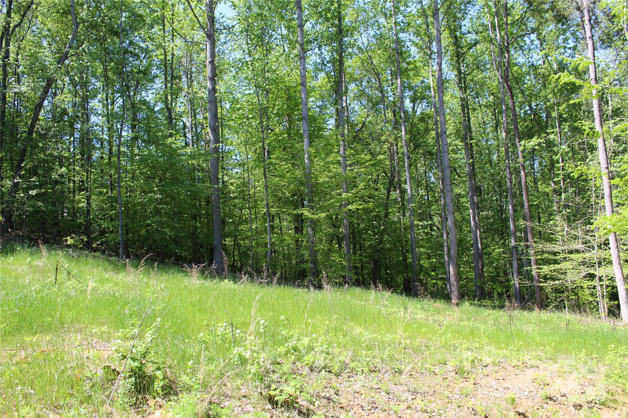 0 Davis Circle Clover, SC 29710 - Photo 6 of 13 a view of outdoor space and a yard