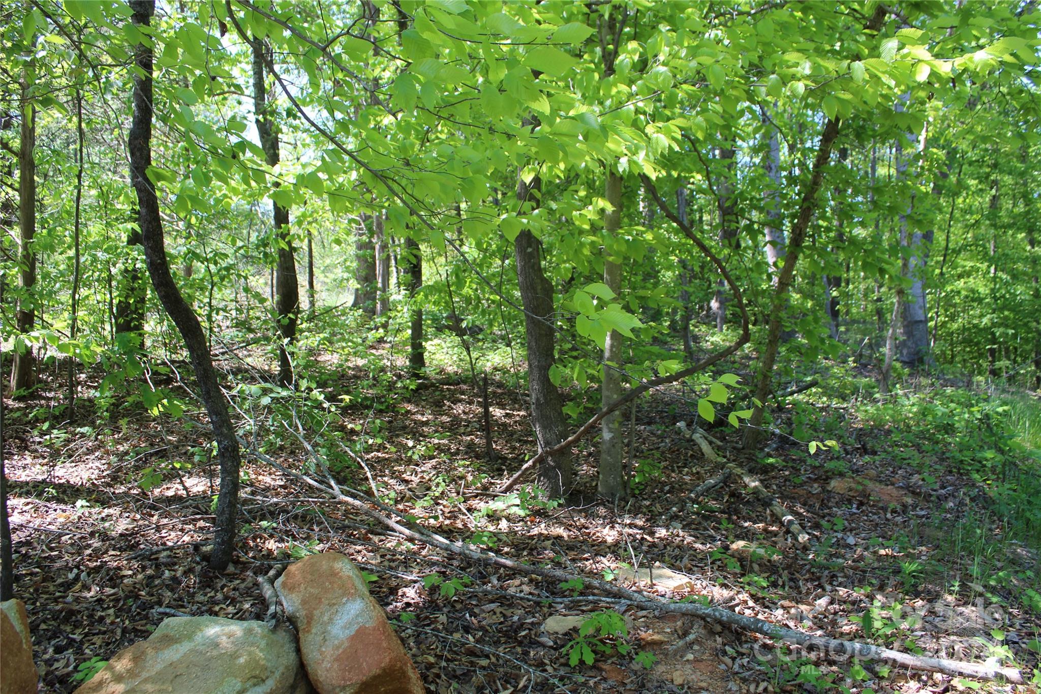 0 Davis Circle Clover, SC 29710 - Photo 7 of 13 a backyard of a house with lots of trees