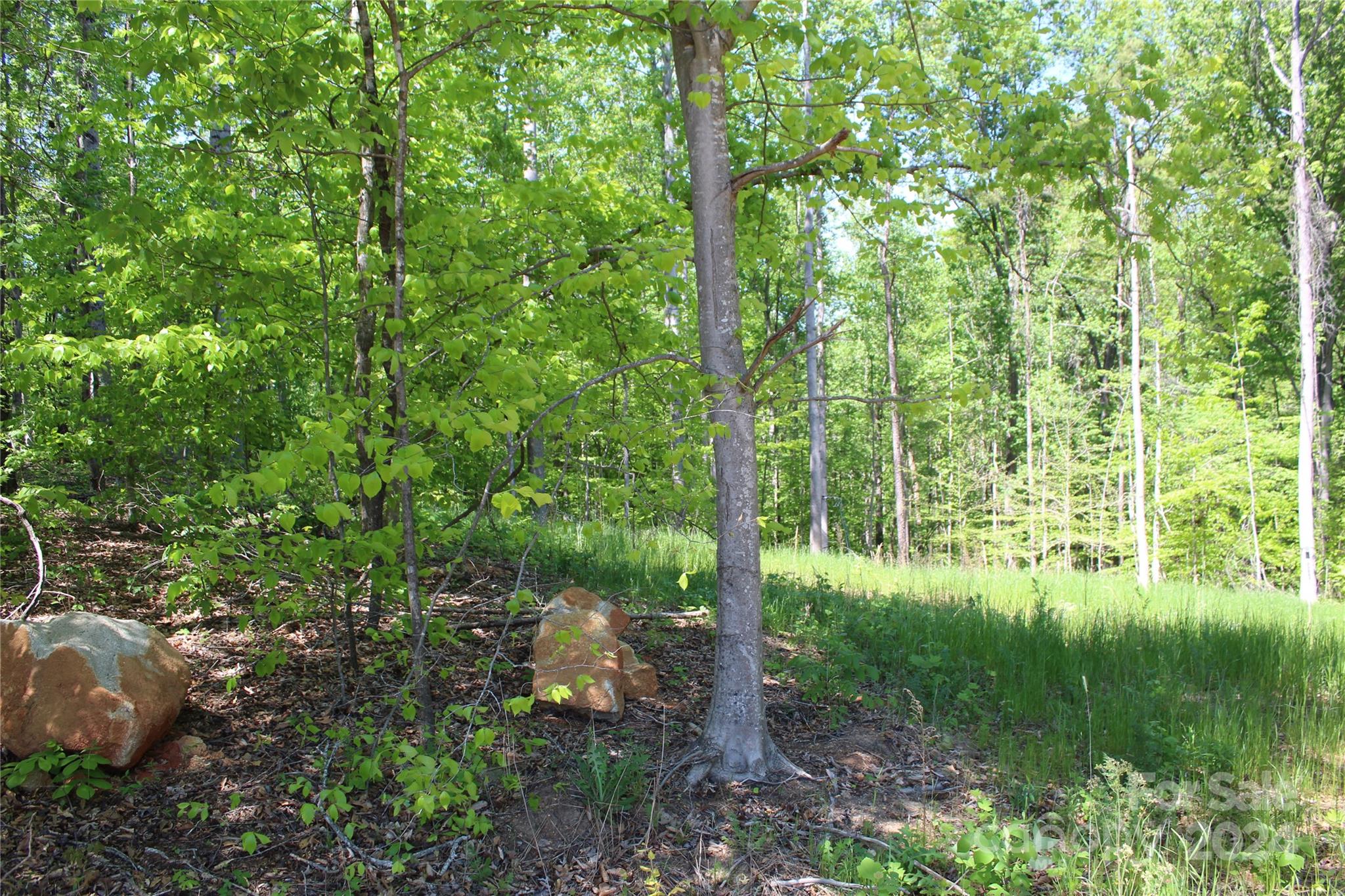 0 Davis Circle Clover, SC 29710 - Photo 9 of 13 a backyard of a house with lots of green space
