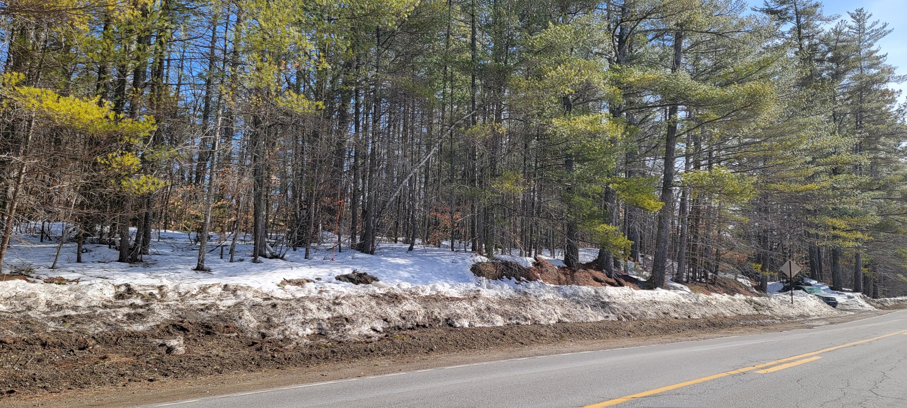 Tbd Songo Pond Road Bethel, ME 04217 - Photo 5 of 6 20230216_115948