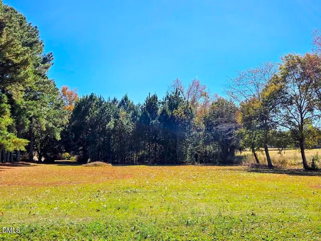 $300,000 | 0 Us 421 Street, Broadway, NC 27505