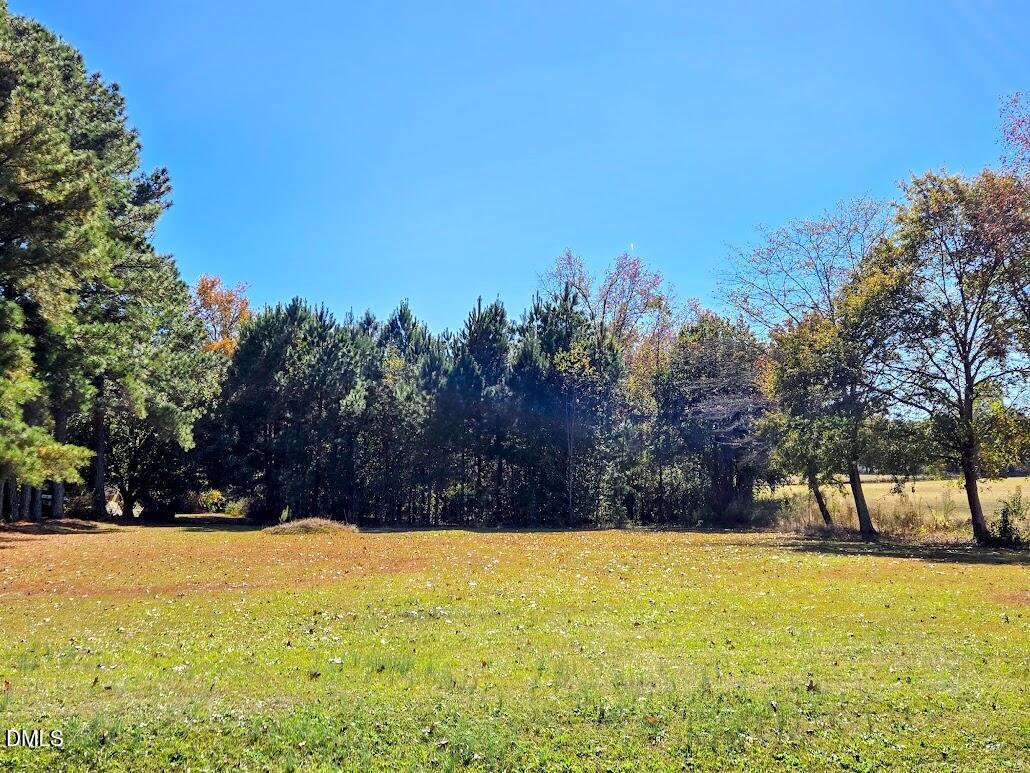 0 Us 421 Street Broadway, NC 27505 - Photo 2 of 2 a view of swimming pool with an outdoor space