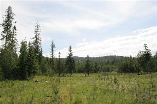 41-xxx North Jackson Road Elk, WA 99009 - Photo 1 of 1 Gallery Image 1