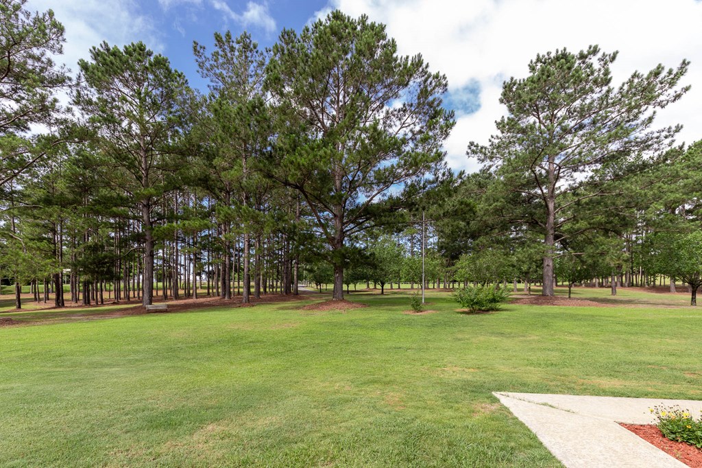 140 Bradley Road Fort Mitchell, AL 36856 - Photo 5 of 75