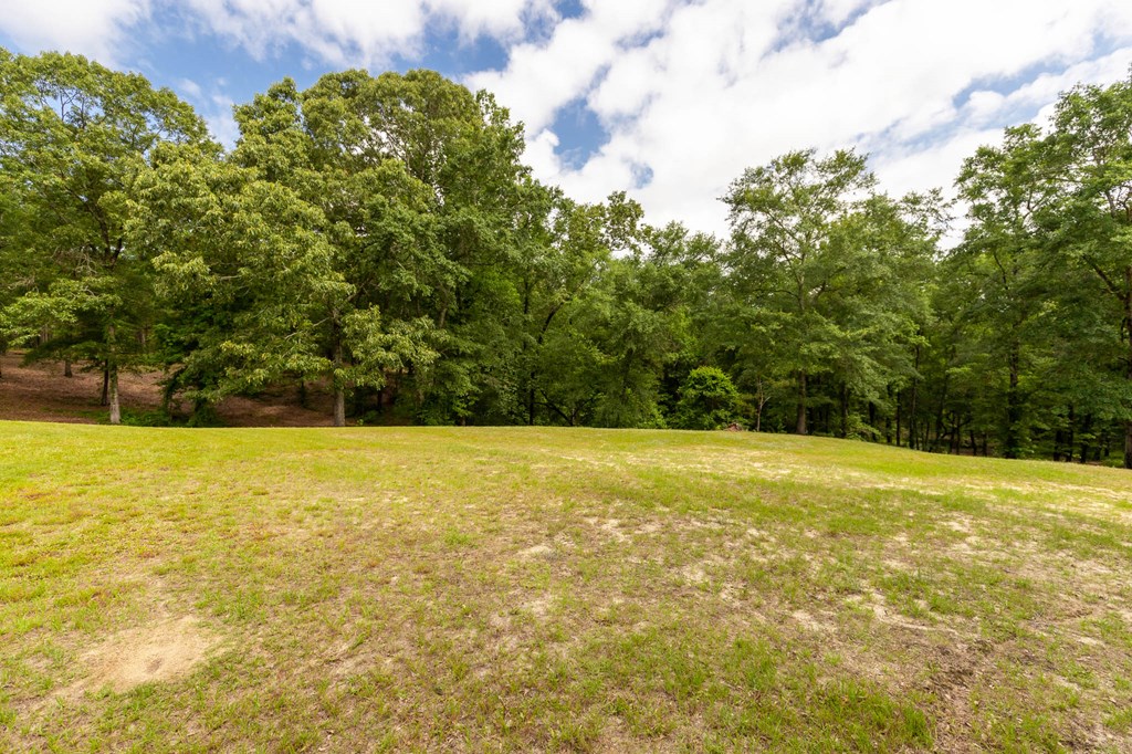 140 Bradley Road Fort Mitchell, AL 36856 - Photo 68 of 75
