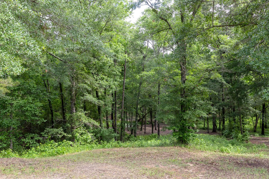 140 Bradley Road Fort Mitchell, AL 36856 - Photo 69 of 75