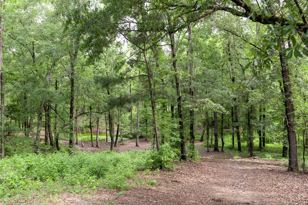 140 Bradley Road Fort Mitchell, AL 36856 - Photo 70 of 75