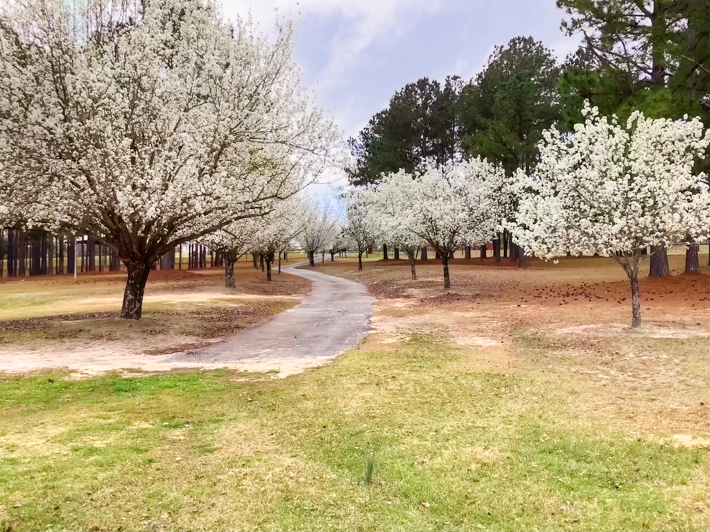 140 Bradley Road Fort Mitchell, AL 36856 - Photo 71 of 75