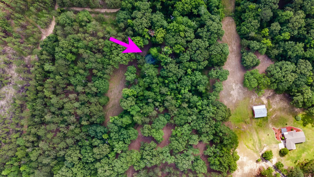 140 Bradley Road Fort Mitchell, AL 36856 - Photo 73 of 75