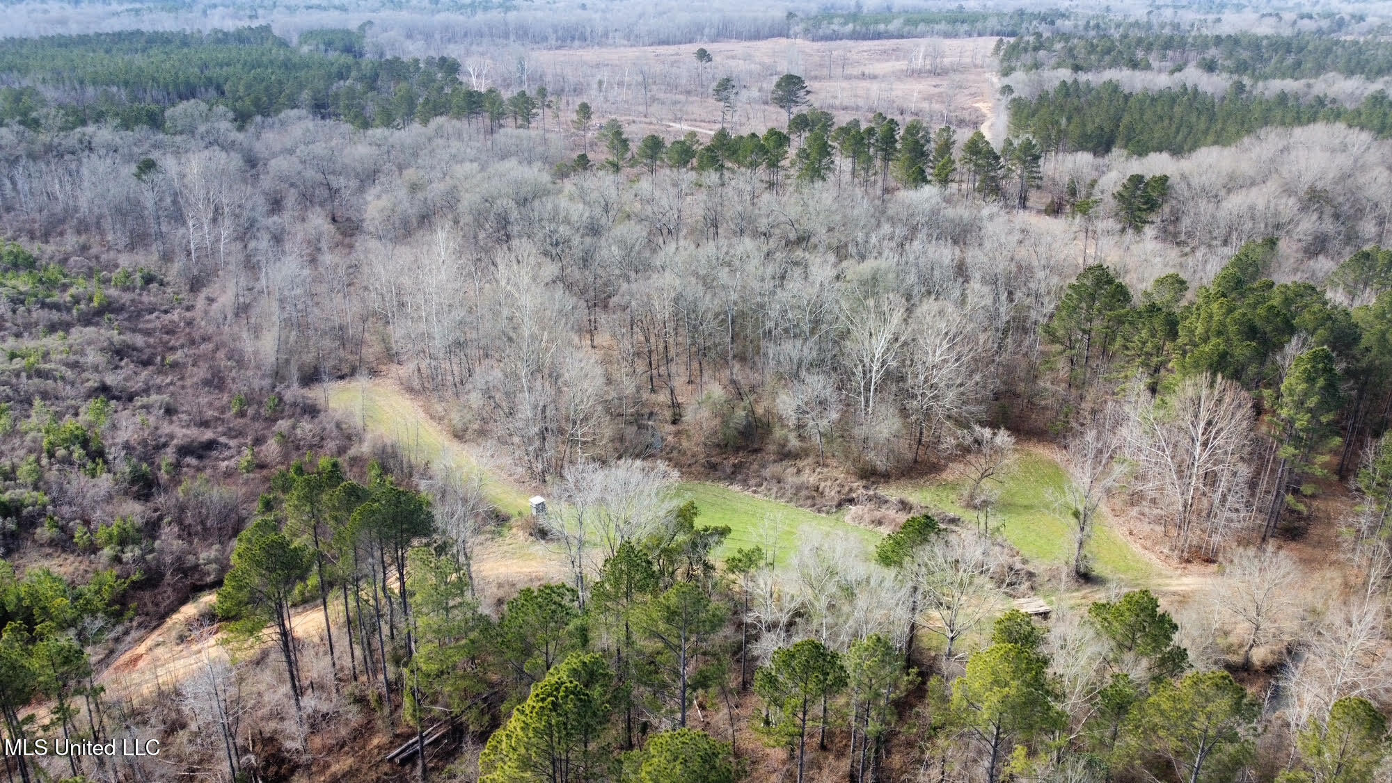 3 Dry Grove Road Terry, MS 39170 - Photo 27 of 80 594