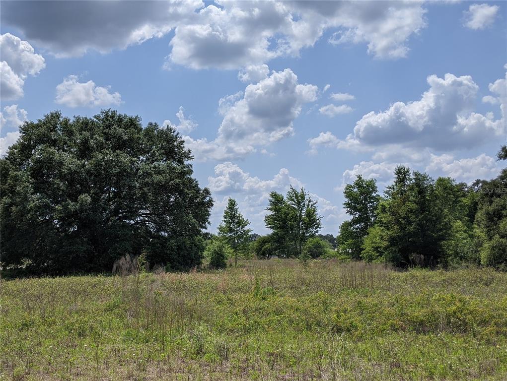 9628 Southwest 103rd Dr