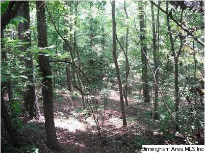 Skyview Road, Unit 1 Ashland, AL 36251 - Photo 4 of 4