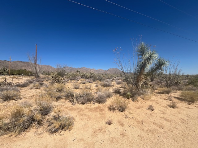 11108 Alvis Road Yucca, AZ 86438 - Photo 3 of 20
