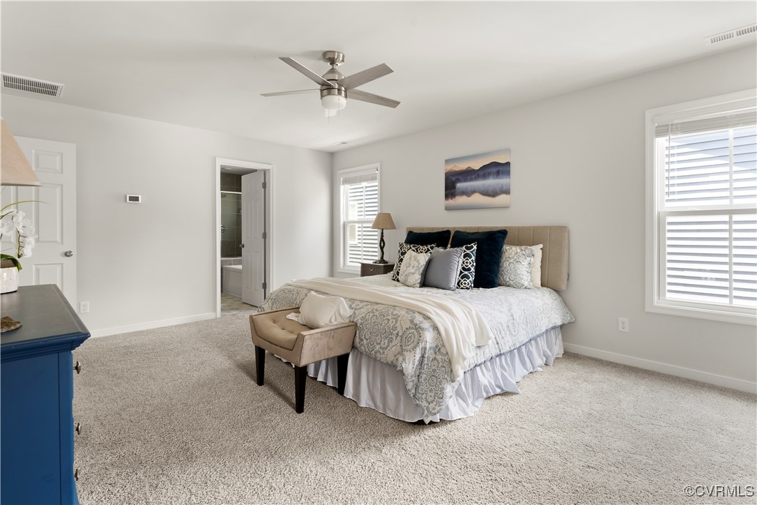 13042 Fieldfare Drive Midlothian, VA 23112 - Photo 34 of 48