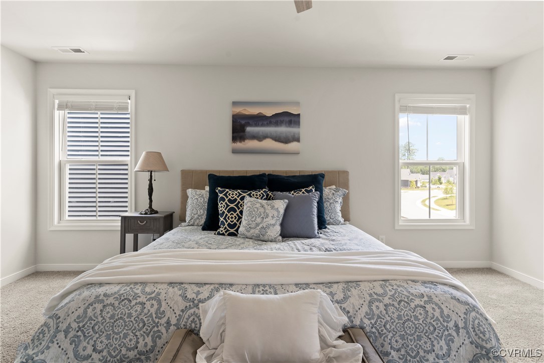 13042 Fieldfare Drive Midlothian, VA 23112 - Photo 36 of 48