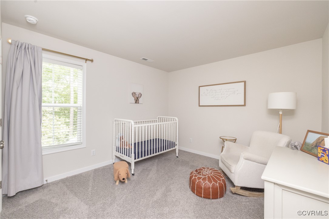 13042 Fieldfare Drive Midlothian, VA 23112 - Photo 43 of 48