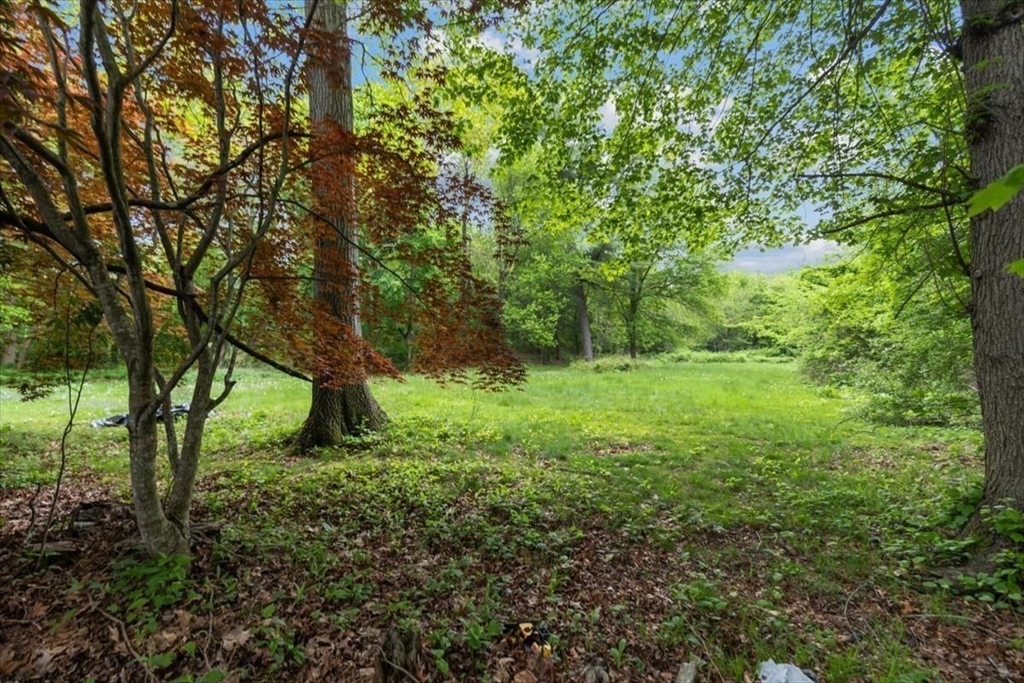 48 Knollwood Road Norwell, MA 02061 - Photo 36 of 41 a view of outdoor space and yard