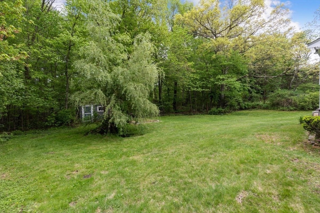48 Knollwood Road Norwell, MA 02061 - Photo 37 of 41 a view of a garden with a tree
