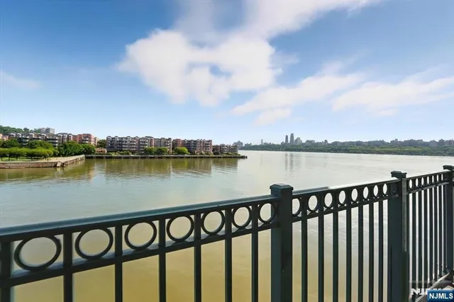 a city view from a lake from a city