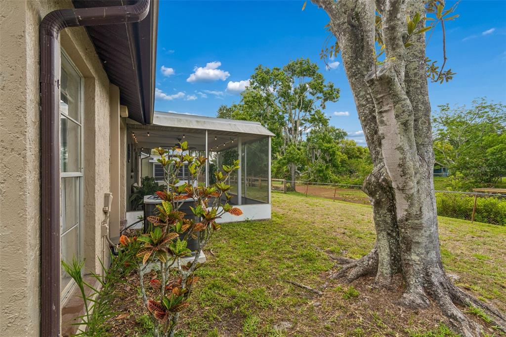 7038 Jenner Avenue New Port Richey, FL 34655 - Photo 48 of 60