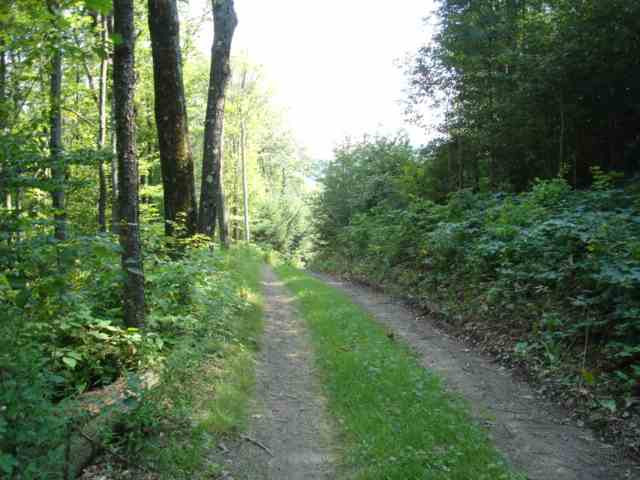 434 Reservoir Road Worcester, NY 12197 - Photo 8 of 11 Photo 8