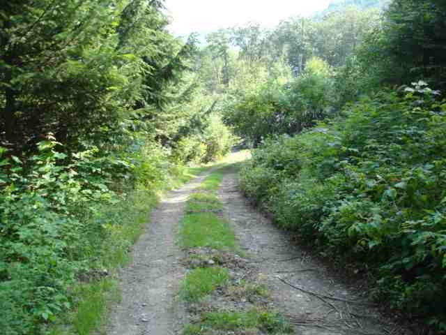 434 Reservoir Road Worcester, NY 12197 - Photo 9 of 11 Photo 9