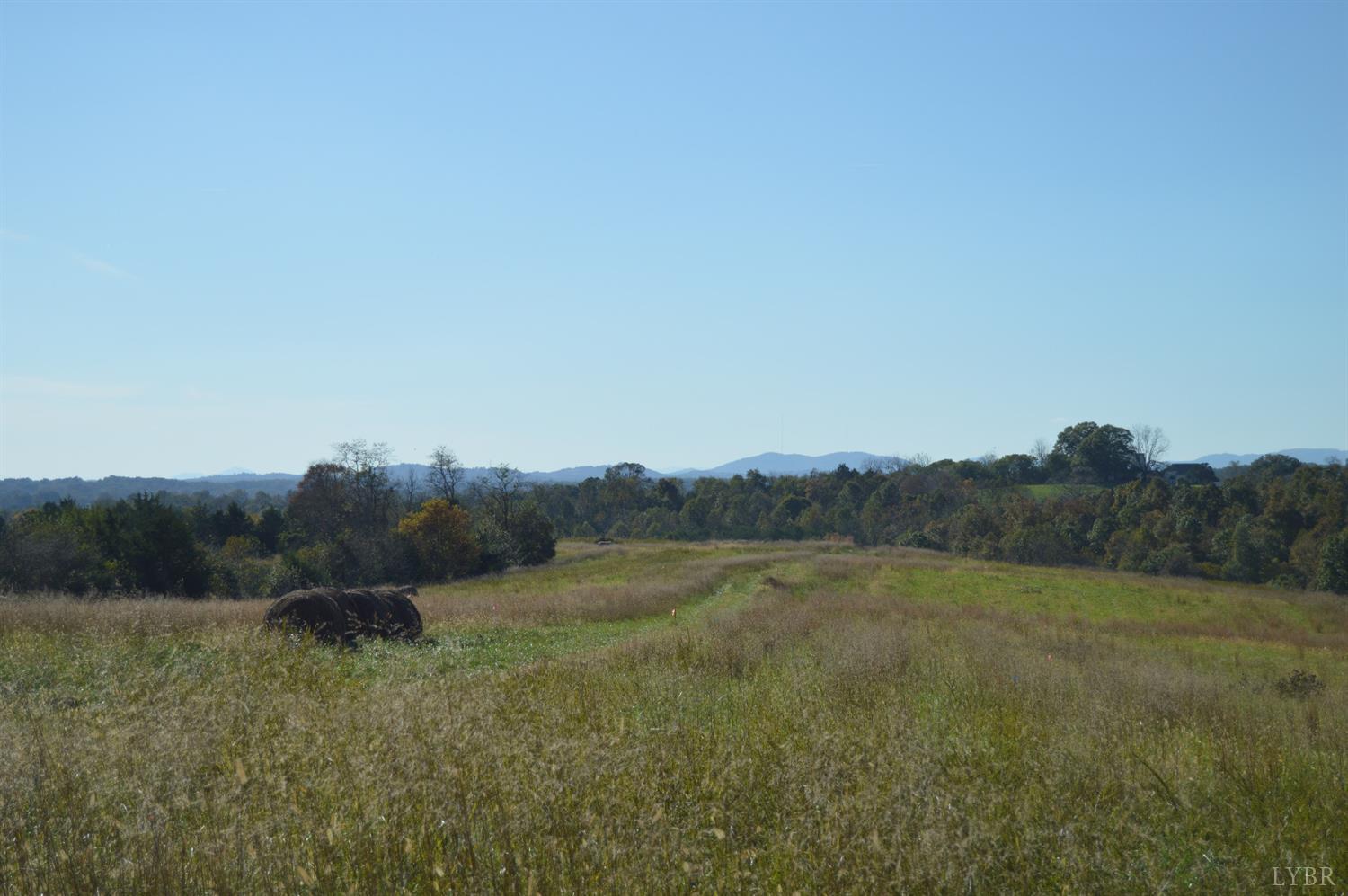 a view of a field of grass and trees