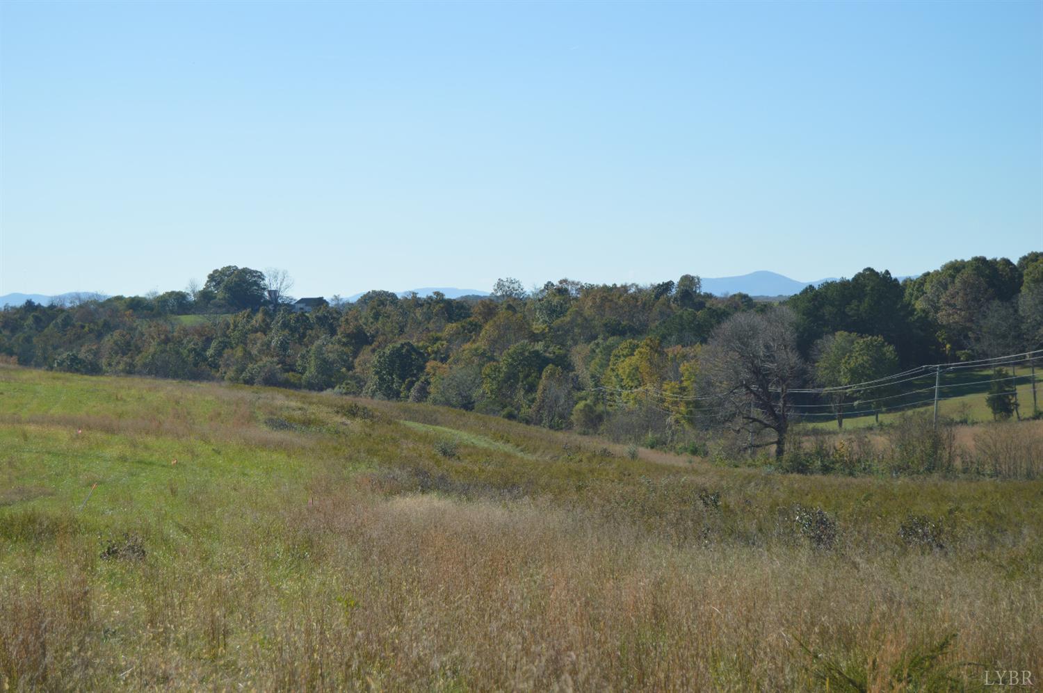 9 Goode Station Road Goode, VA 24556 - Photo 3 of 13 a view of a field with trees in background
