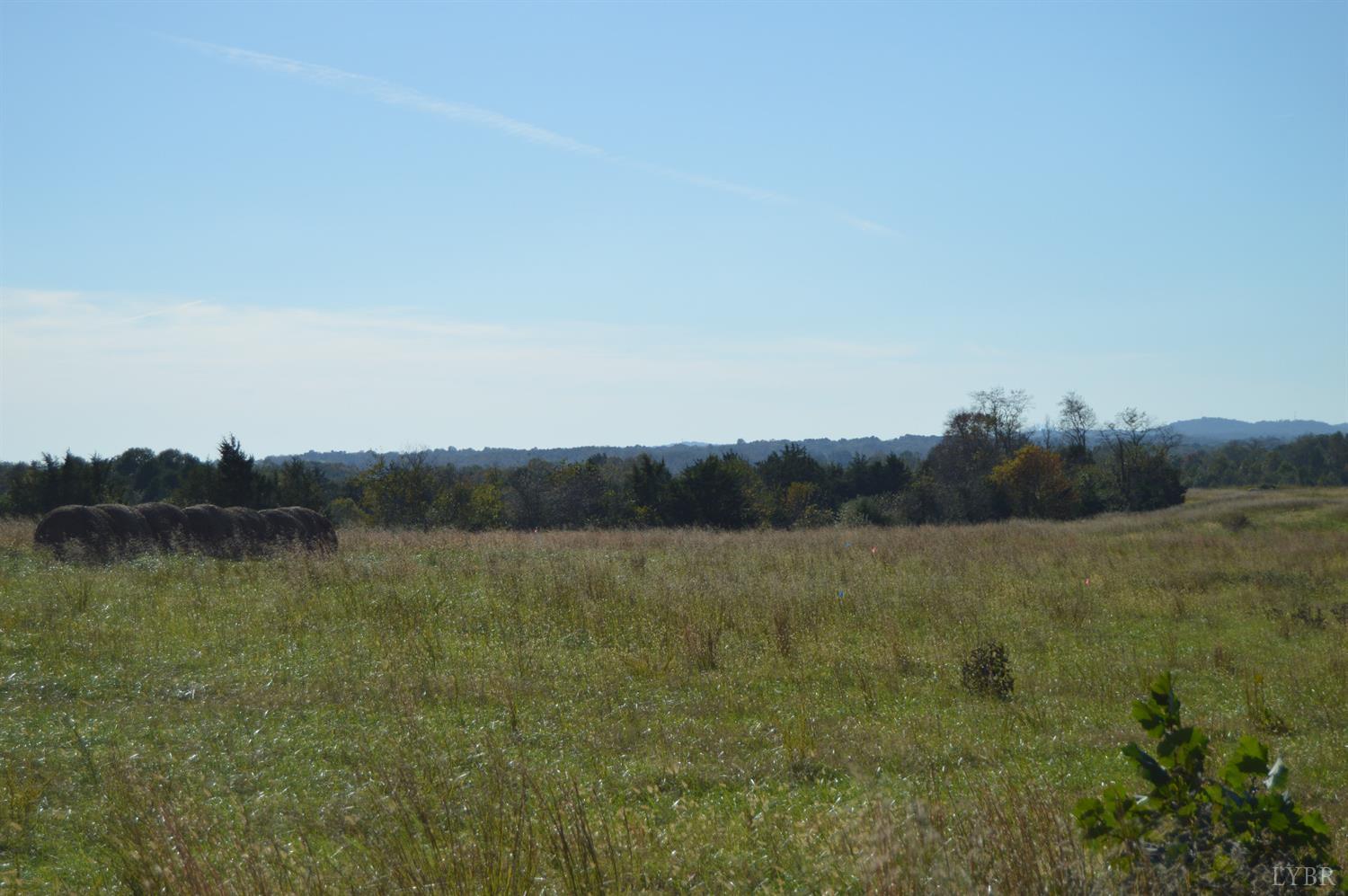 9 Goode Station Road Goode, VA 24556 - Photo 5 of 13 a view of lake and mountain view