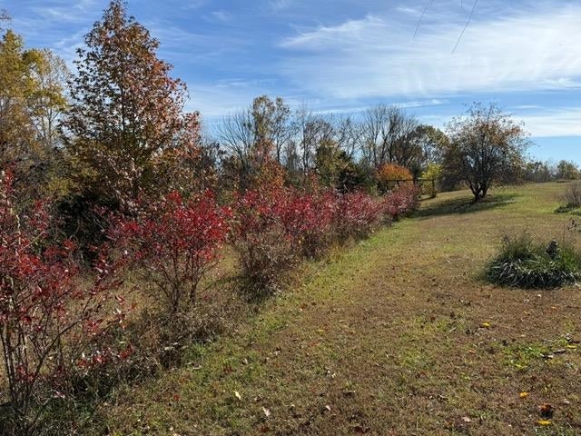 1520 Gordon Branch Road Edmonton, KY 42129 - Photo 17 of 85 Gallery Image 17