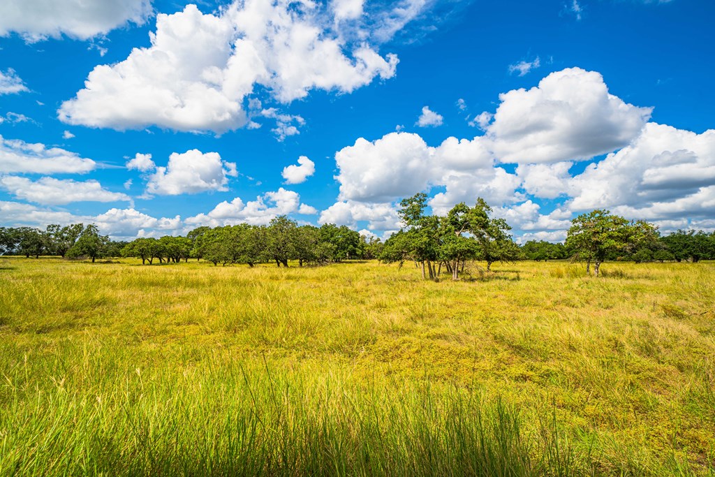 11 Blackjack Ranch Road, Unit 11 Harper, TX 78631 - Photo 4 of 8