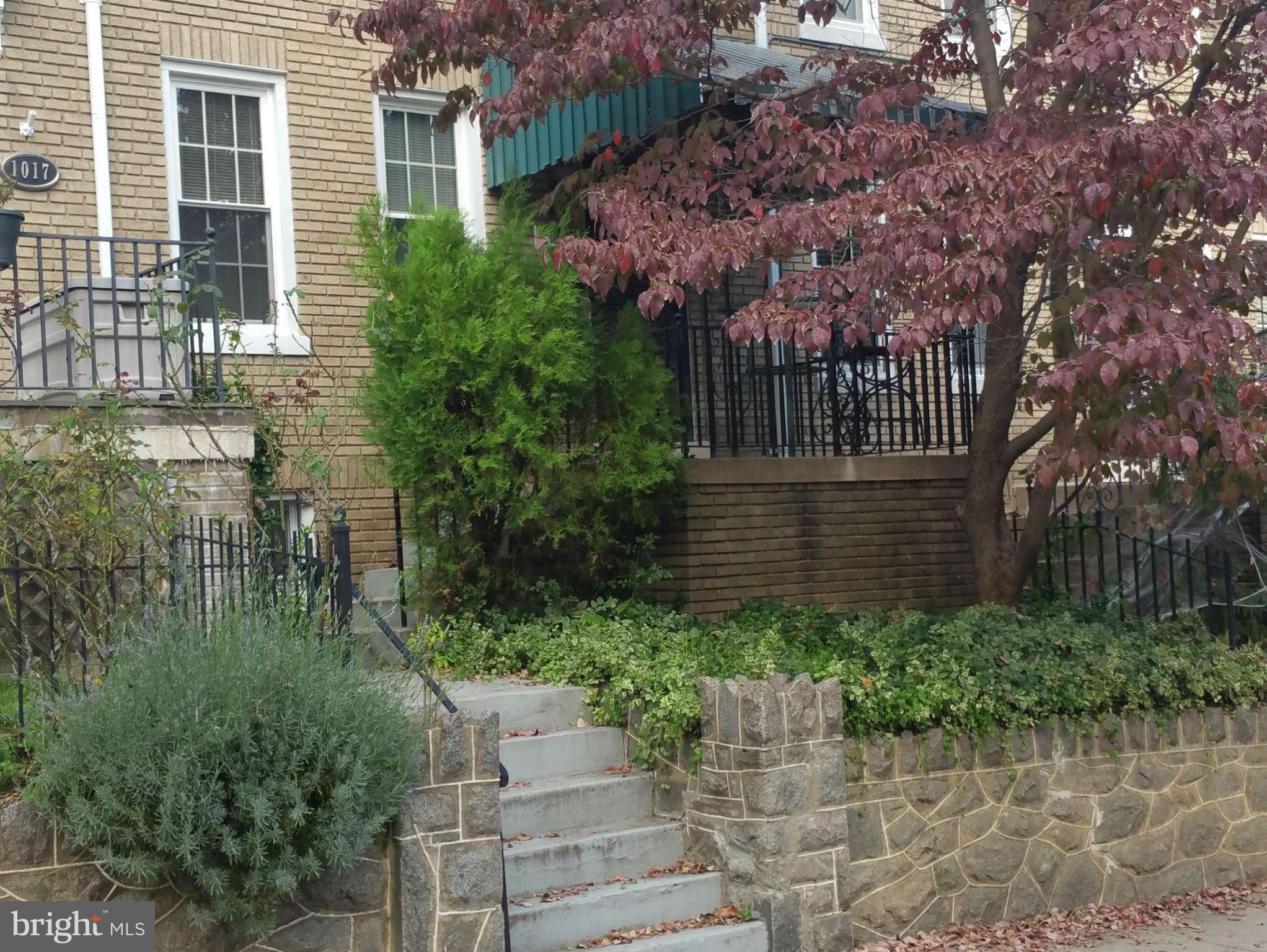 a view of a house with a garden