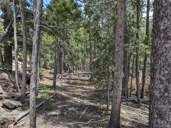 $11,500 | 3159 Purnell Lane, Fort Garland, CO 81133