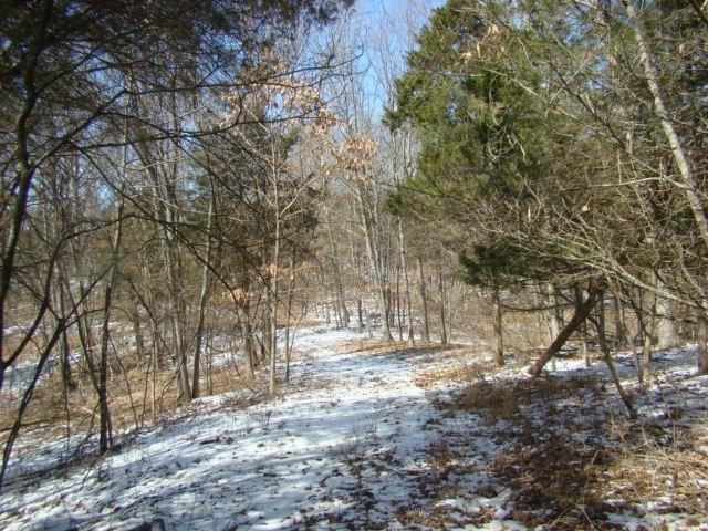 7330 Gratz Road Owenton, KY 40359 - Photo 12 of 22 Gallery Image 12