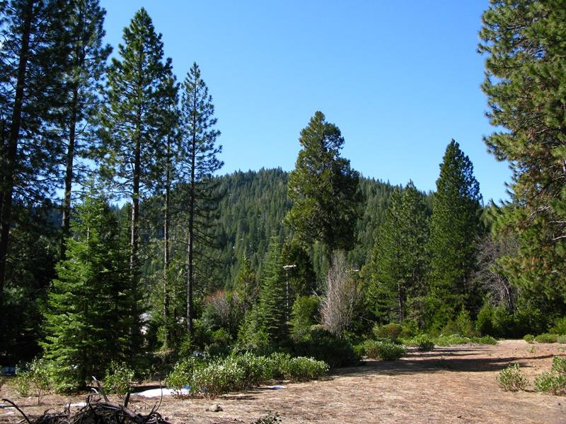 0 Davis Place Road Mount Shasta, CA 96067 - Photo 1 of 16 Gallery Image 1