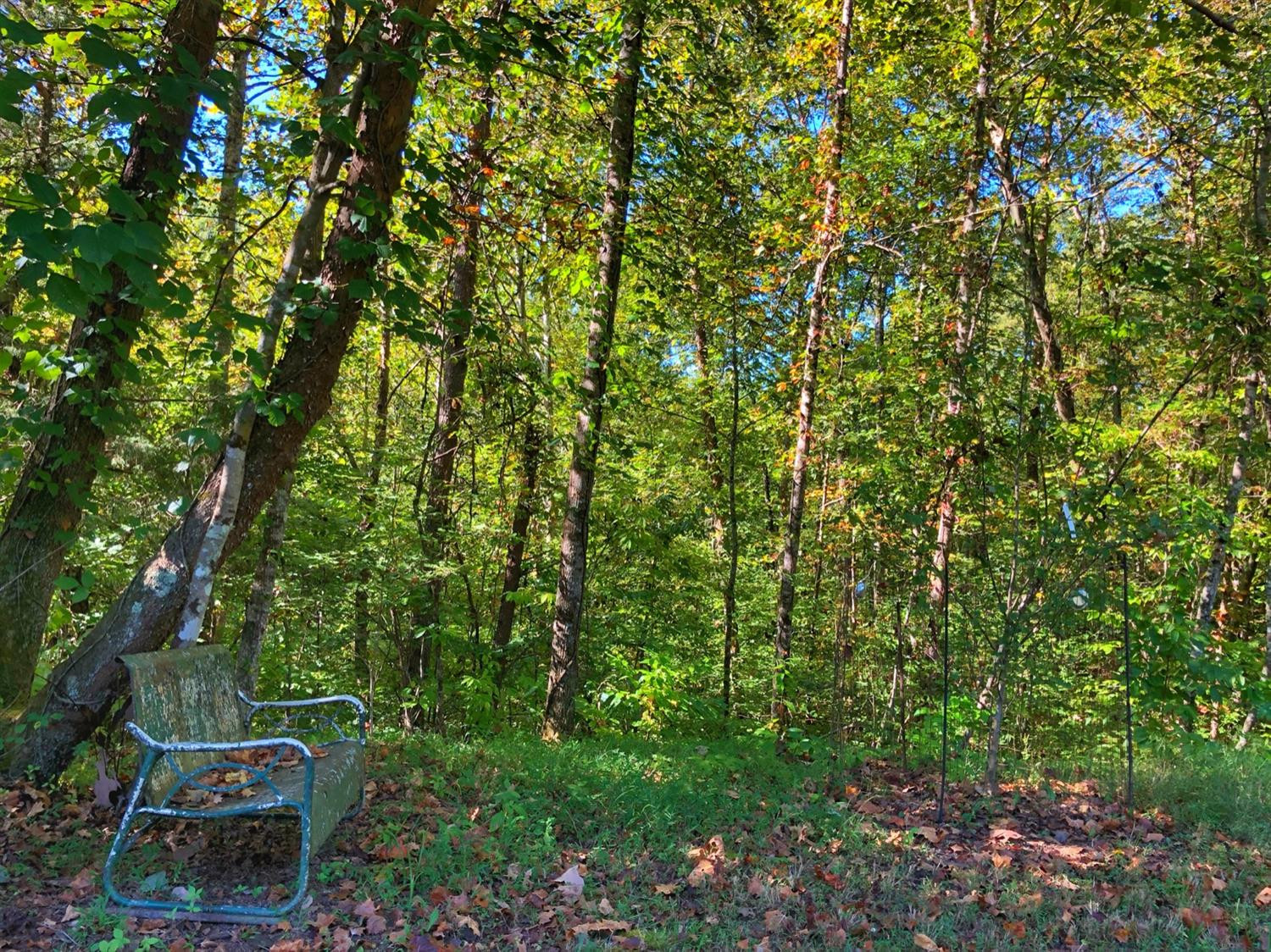 426 Beech Timber Road Beattyville, KY 41311 - Photo 4 of 34 Photo 4