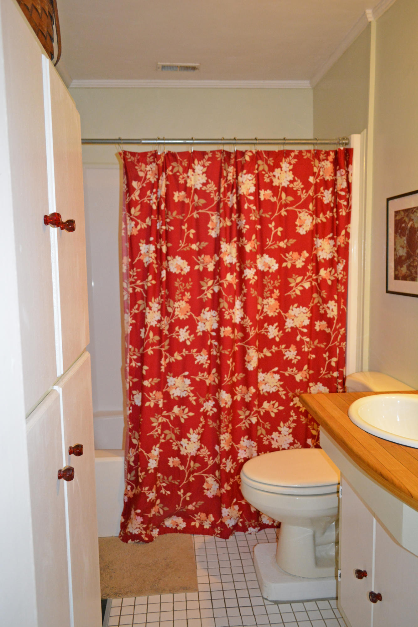 2728 Cast Net Road Johns Island, SC 29455 - Photo 11 of 27 Bathroom