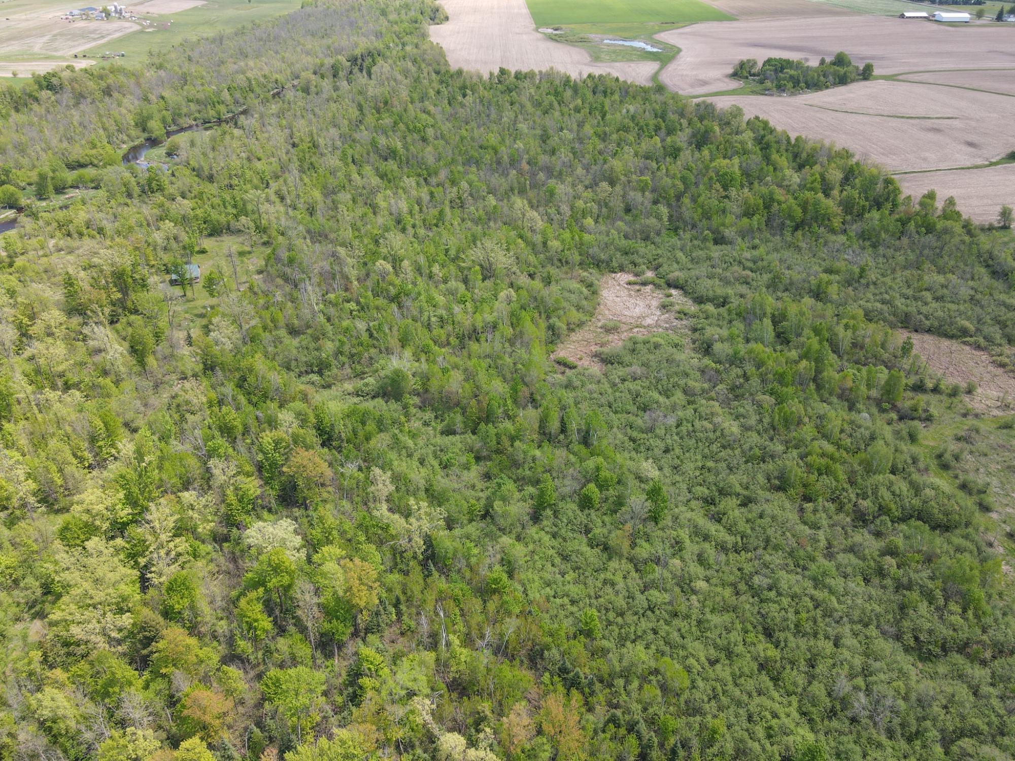 20-acres Cloverland Road Conrath, WI 54731 - Photo 26 of 31