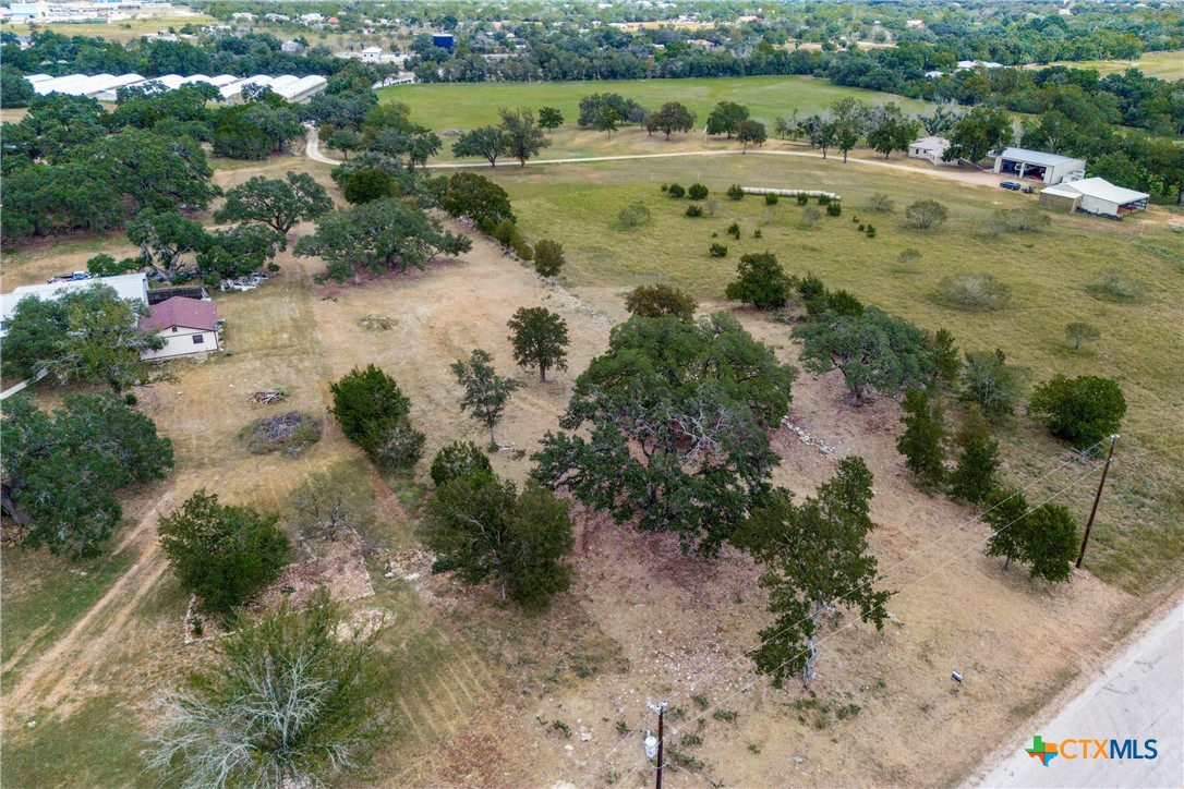 109 Rio Grande Drive Blanco, TX 78606 - Photo 3 of 20