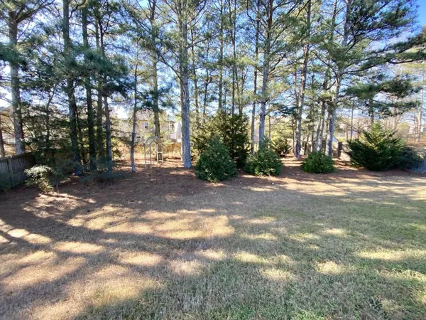 a view of a yard with a large tree