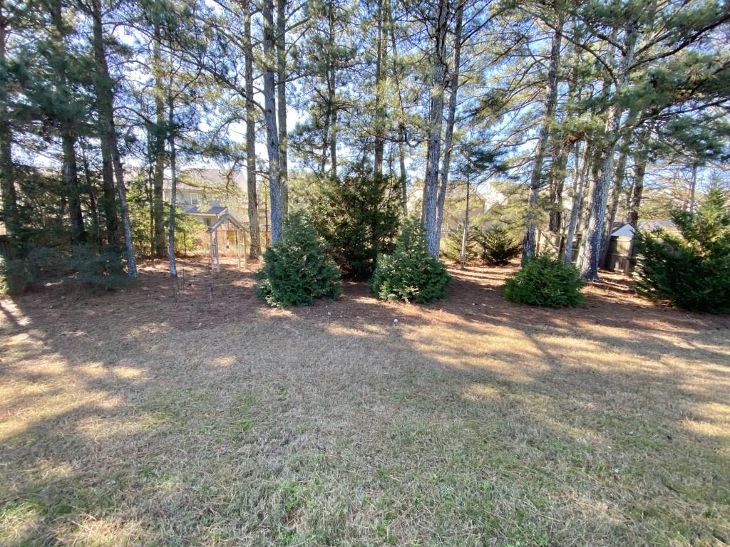 2935 Meadow Gate Way Loganville, GA 30052 - Photo 49 of 51