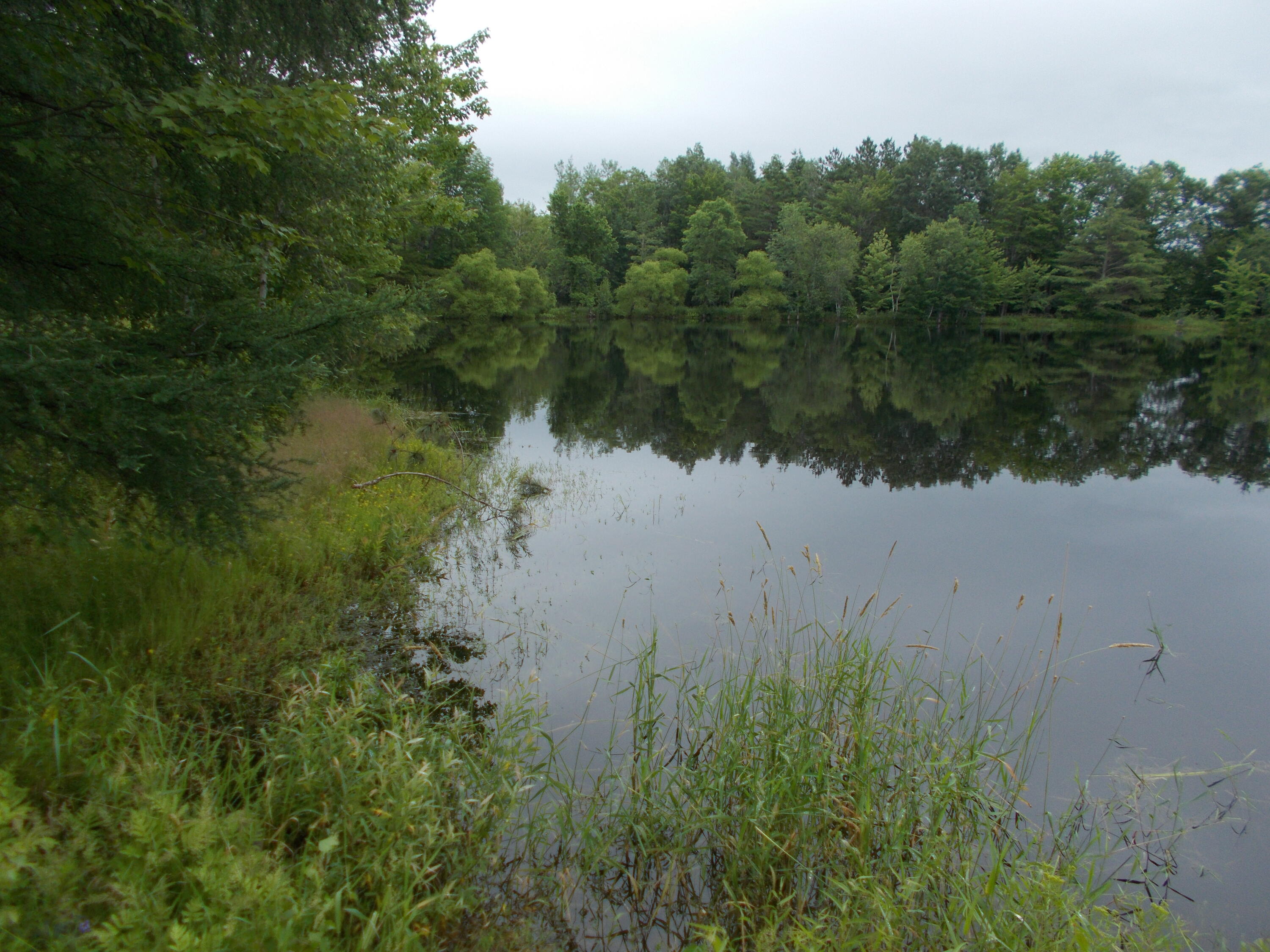 416 Johnson Flat Road Clinton, ME 04927 - Photo 24 of 69 DSCN2542