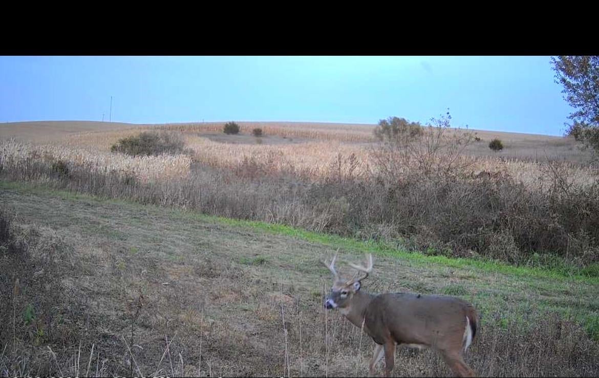 0 Bellevue-Cascade Road Bellevue, IA 52031 - Photo 18 of 19 Gallery Image 18