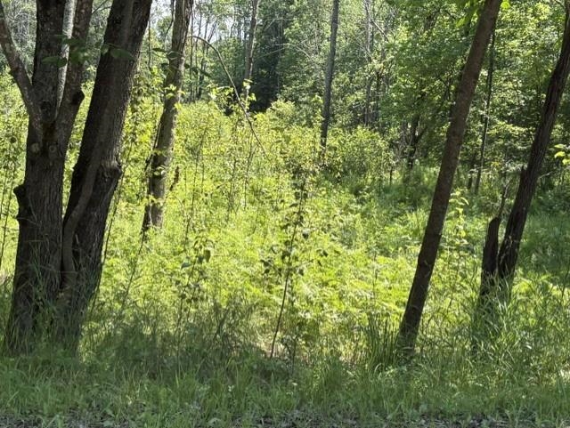 61 Rolling Hills Road West Branch, MI 48661 - Photo 10 of 11 1947956-5584a889-d7f4-489f-989f-7872d63c8f08.JPG