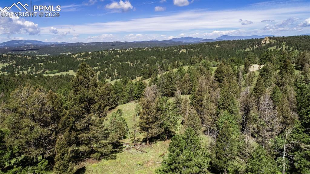 235 Hay Creek Road Florissant, CO 80816 - Photo 12 of 17 a view of a city with an ocean