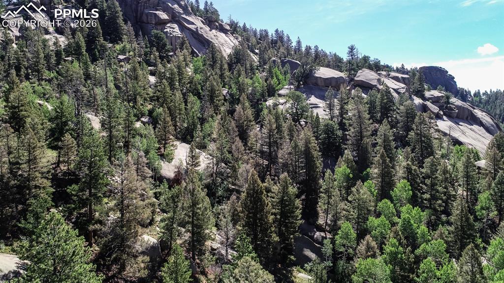 235 Hay Creek Road Florissant, CO 80816 - Photo 14 of 17